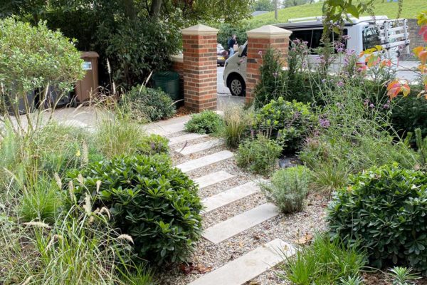 Front Garden in Crouch End, 3