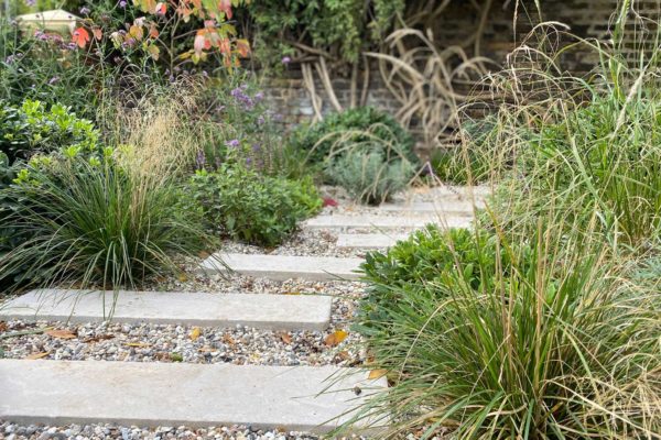 Front Garden in Crouch End, 5