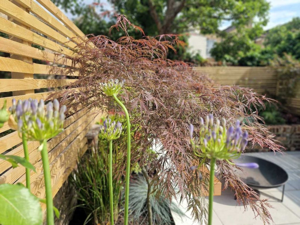 Garden design in Finsbury Park, 7